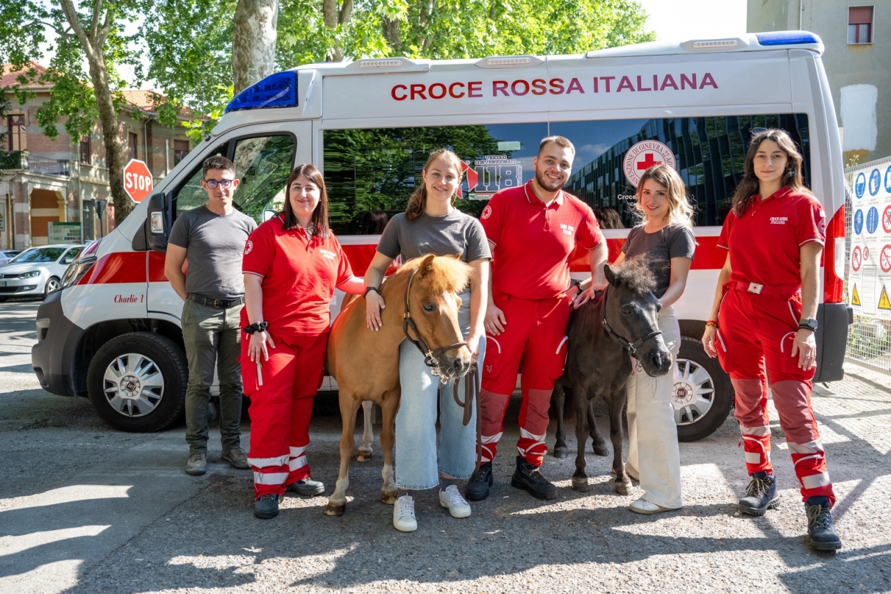 Concluso con successo il progetto "Un Pony per Sognare"