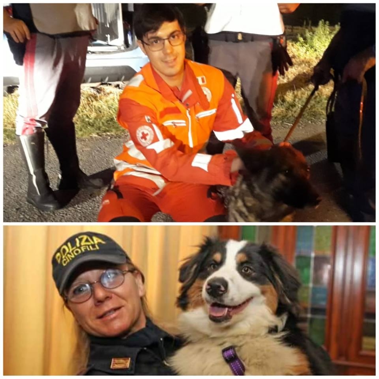 In ricordo del Ponte Morandi. I cani che abbaiarono a Genova abbaiarono anche a Parma